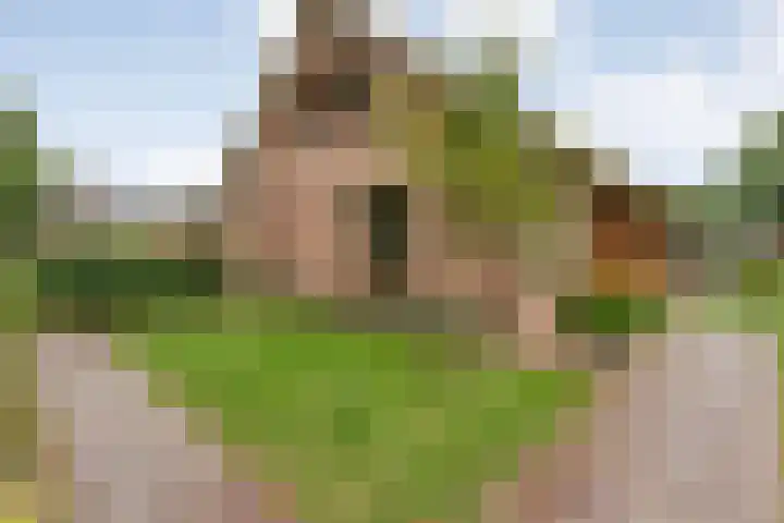 de Brinken 32 Dalen thumbnail 5