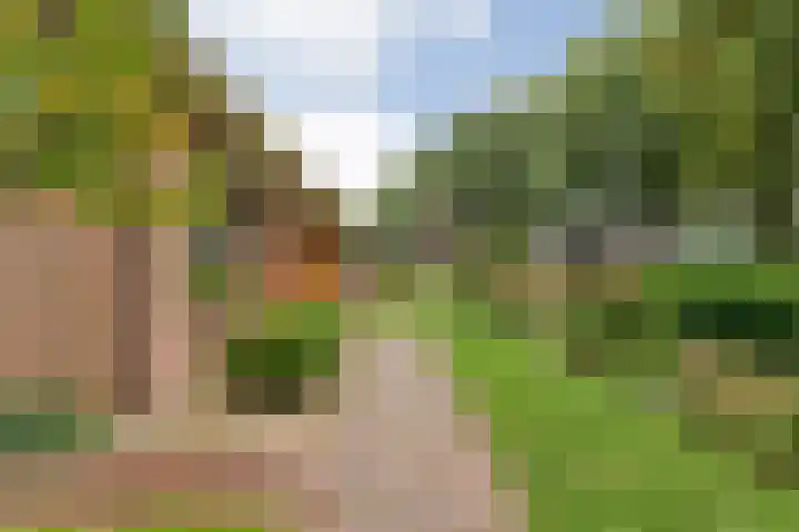 de Brinken 32 Dalen thumbnail 6