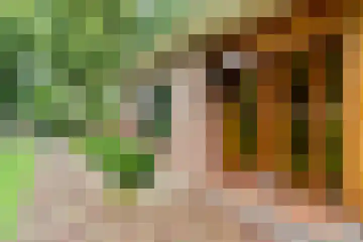 de Brinken 32 Dalen thumbnail 9