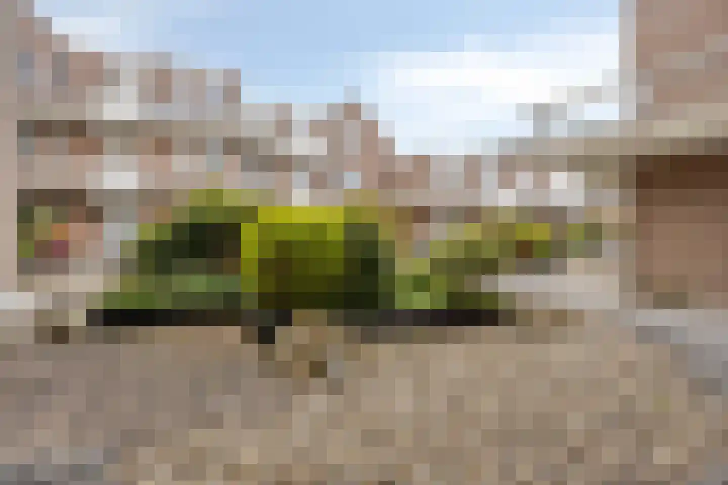 De Brinken 35 Haren Gn thumbnail 18