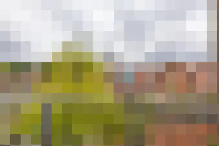 De Brinken 45 Haren Gn thumbnail 32