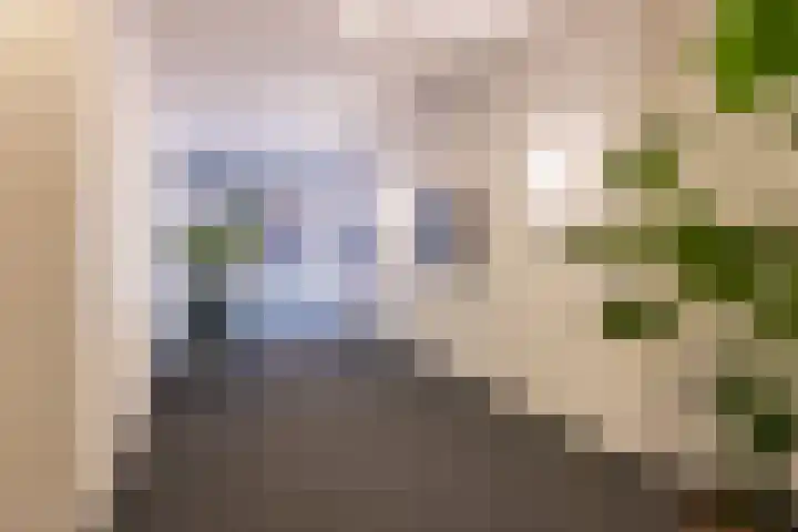De Brinken 45 Haren Gn thumbnail 5
