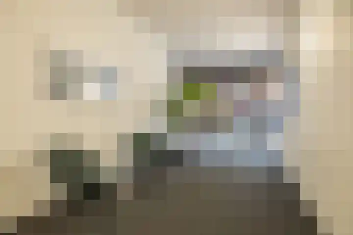 De Brinken 45 Haren Gn thumbnail 7