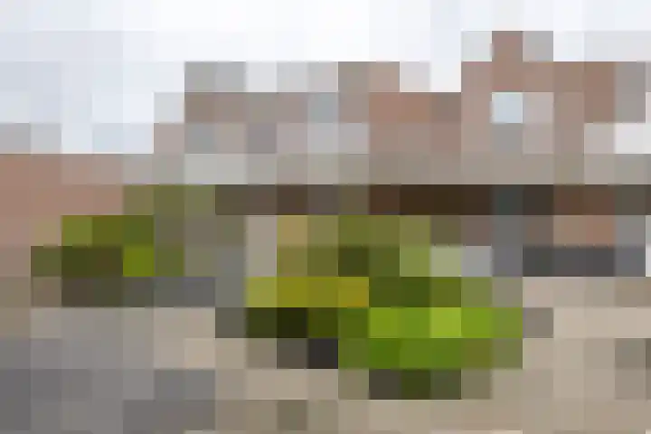 De Brinken 45 Haren Gn thumbnail 9