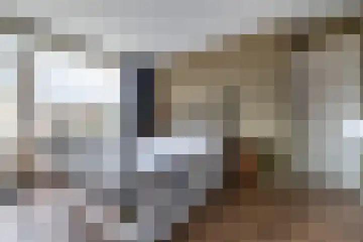 De Brinken 48 Veenendaal thumbnail 17