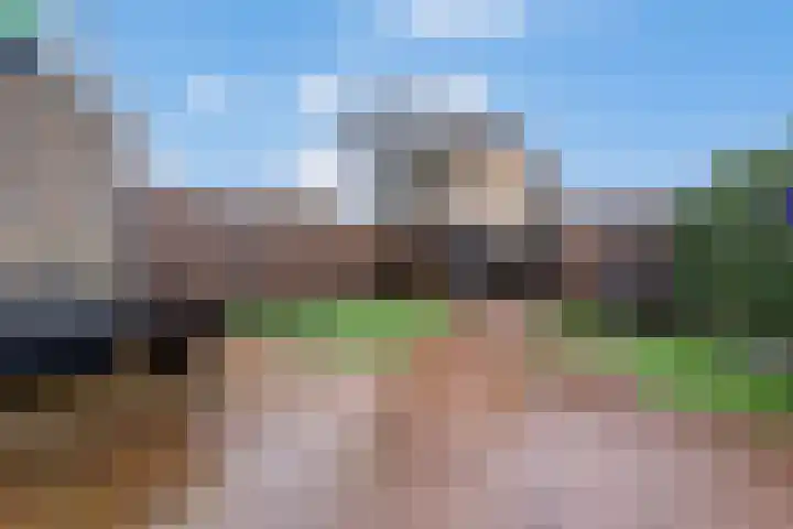 De Brinken 48 Veenendaal thumbnail 32
