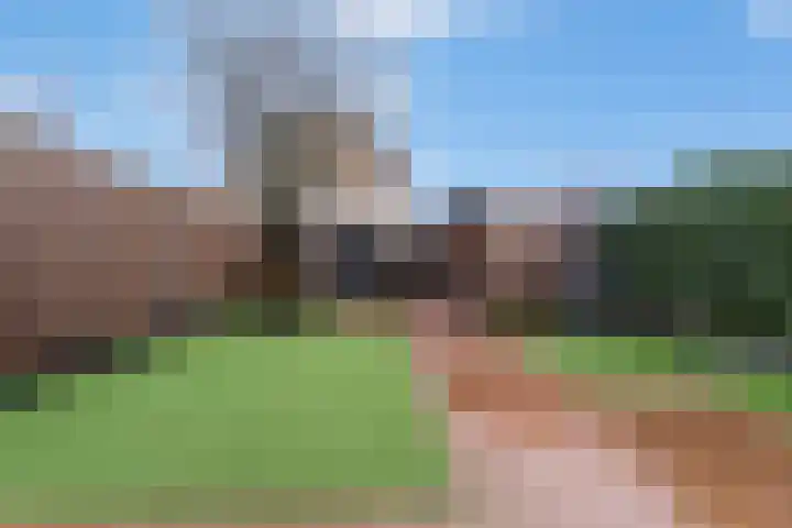De Brinken 48 Veenendaal thumbnail 33