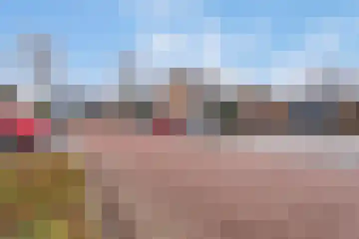 De Brinken 48 Veenendaal thumbnail 36