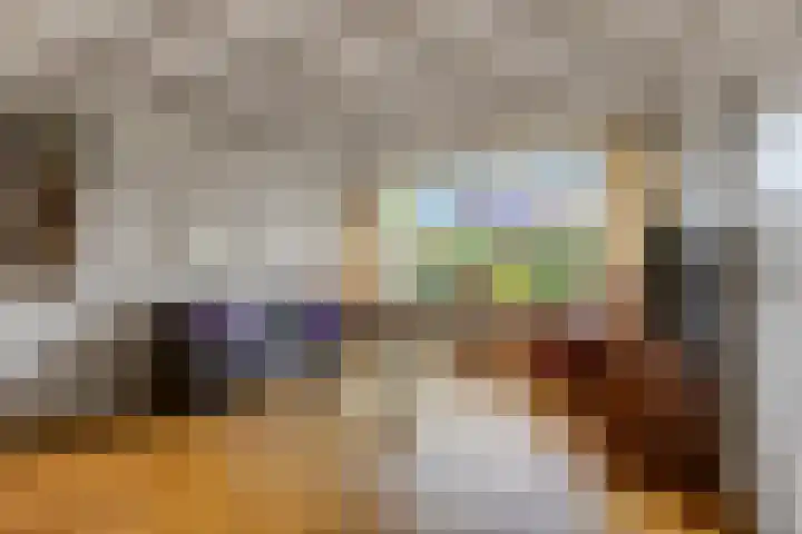 De Brinken 7 Veenendaal thumbnail 10