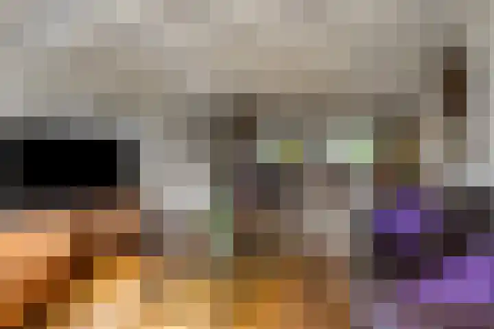 De Brinken 7 Veenendaal thumbnail 12