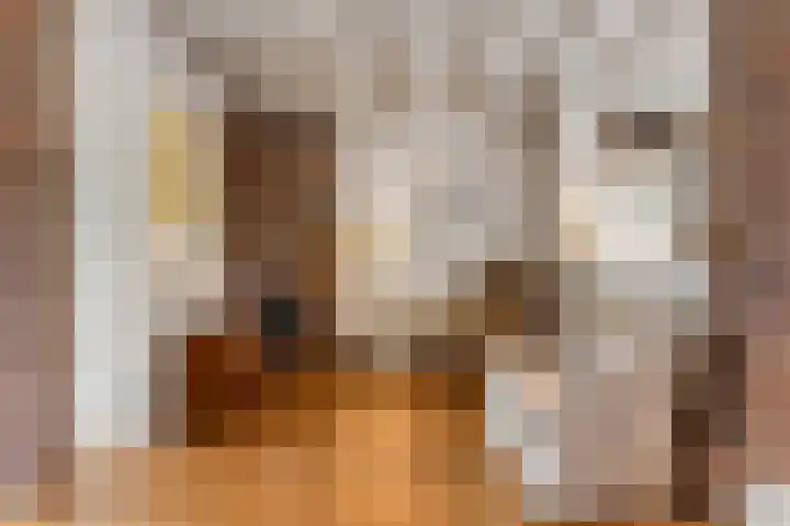 De Brinken 7 Veenendaal thumbnail 14