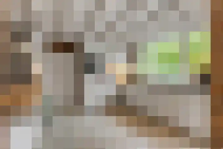 De Brinken 7 Veenendaal thumbnail 15