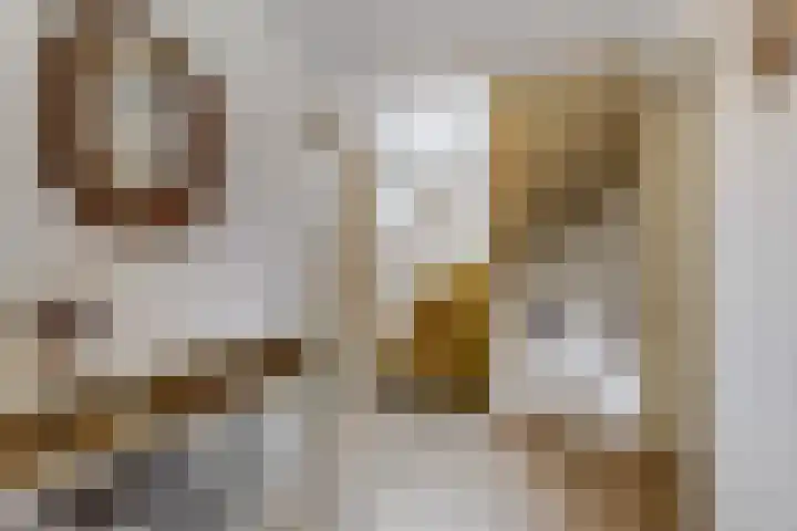 De Brinken 7 Veenendaal thumbnail 17