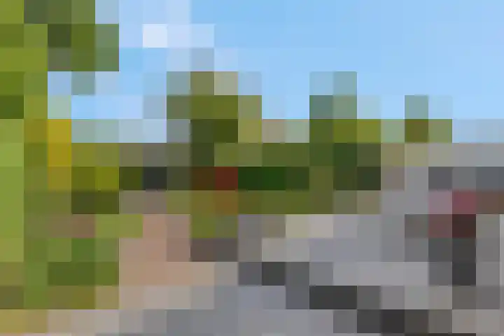 De Brinken 7 Veenendaal thumbnail 29