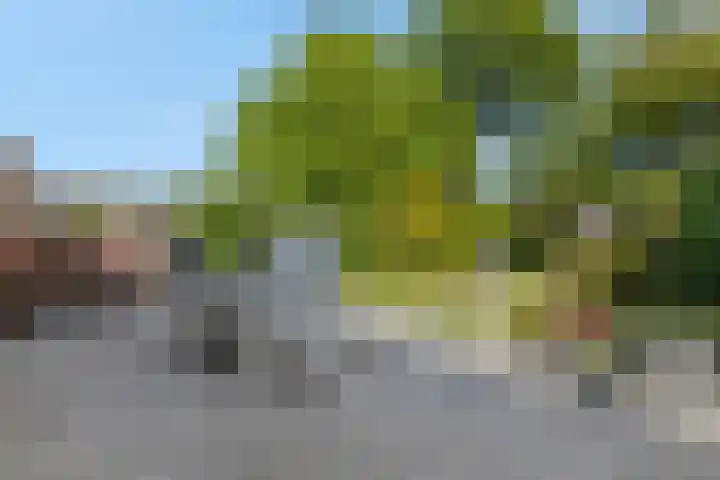 De Brinken 7 Veenendaal thumbnail 30