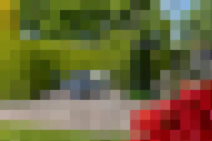 De Brinken 7 Veenendaal thumbnail 33
