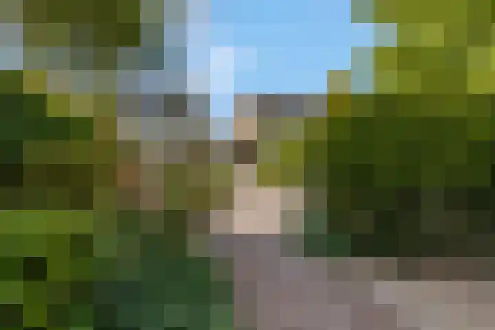 De Brinken 7 Veenendaal thumbnail 34