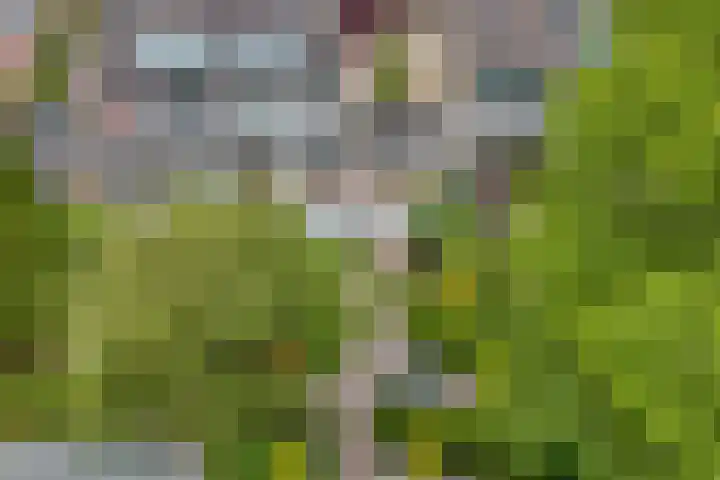 De Brinken 7 Veenendaal thumbnail 35