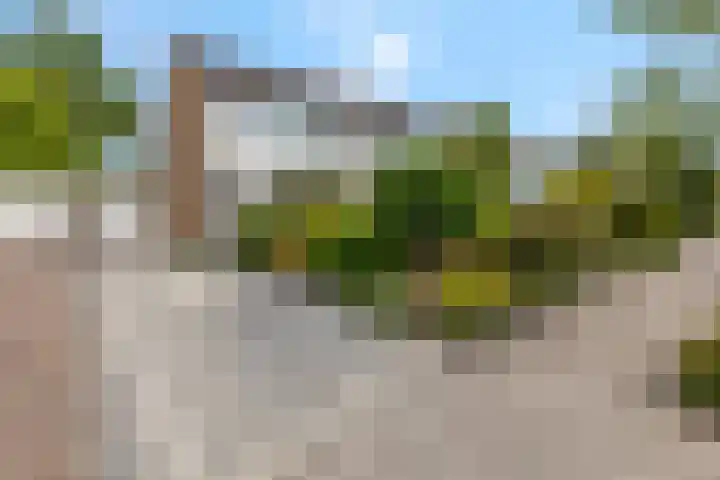 De Brinken 7 Veenendaal thumbnail 36
