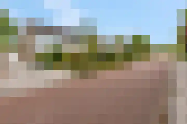 De Brinken 7 Veenendaal thumbnail 37