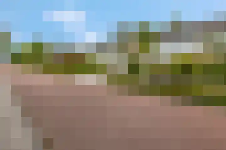 De Brinken 7 Veenendaal thumbnail 38
