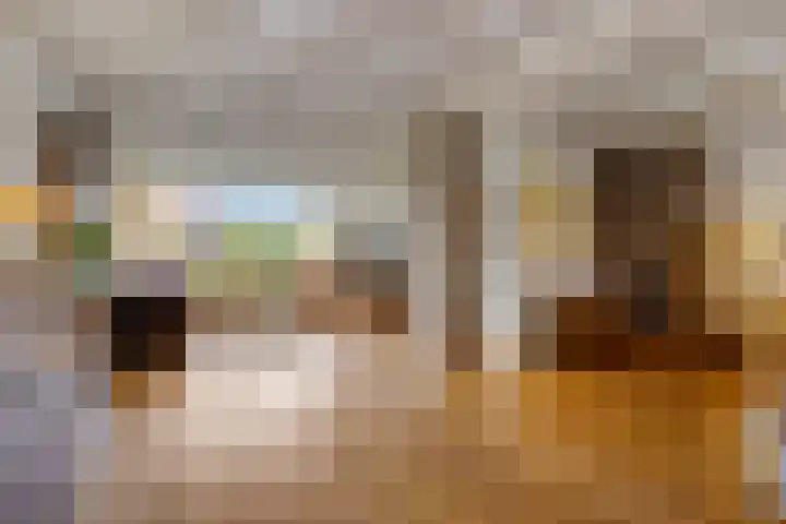 De Brinken 7 Veenendaal thumbnail 4