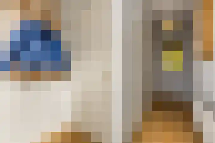 De Brinken 7 Veenendaal thumbnail 6