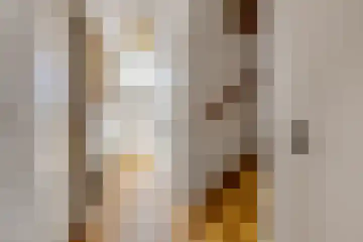 De Brinken 7 Veenendaal thumbnail 7