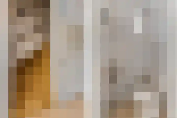 De Brinken 7 Veenendaal thumbnail 8