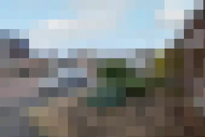 De Brogge 16 Wolvega thumbnail 33