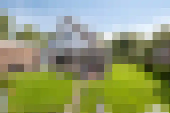 De Brogge 26 Wolvega thumbnail 24