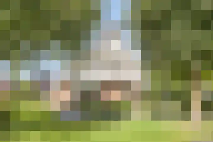 De Brogge 26 Wolvega thumbnail 26
