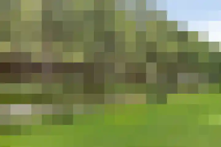 De Brogge 26 Wolvega thumbnail 27