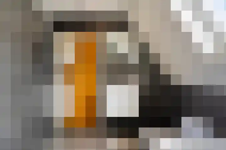 De Brogge 34 Wolvega thumbnail 19