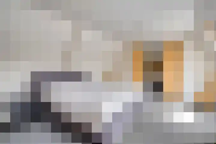 De Brogge 34 Wolvega thumbnail 25
