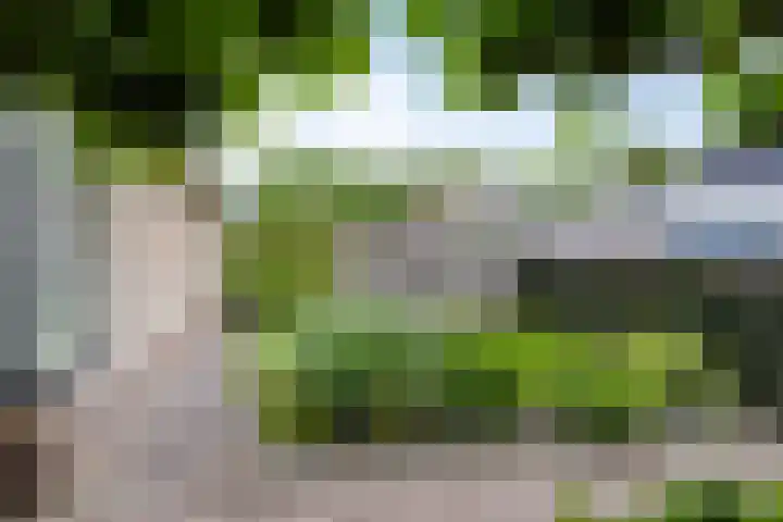 De Brogge 34 Wolvega thumbnail 35