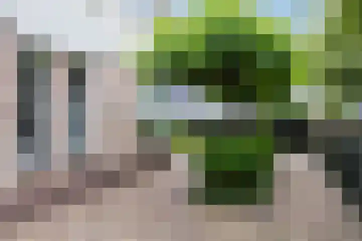 De Brogge 34 Wolvega thumbnail 36