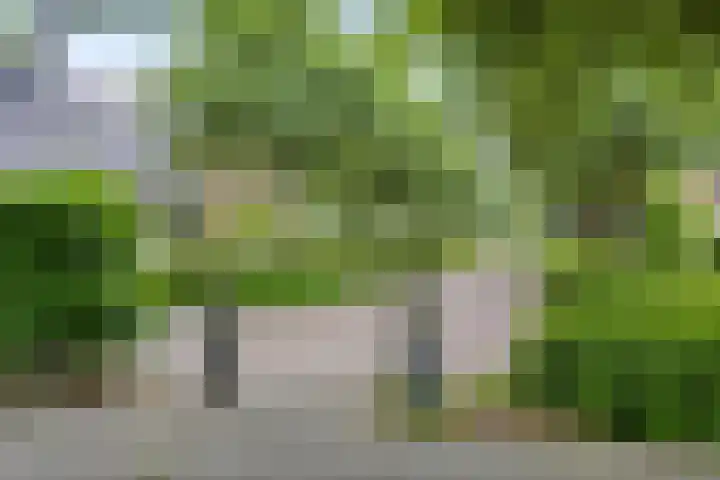 De Brogge 34 Wolvega thumbnail 37
