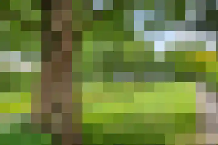 De Brogge 34 Wolvega thumbnail 38