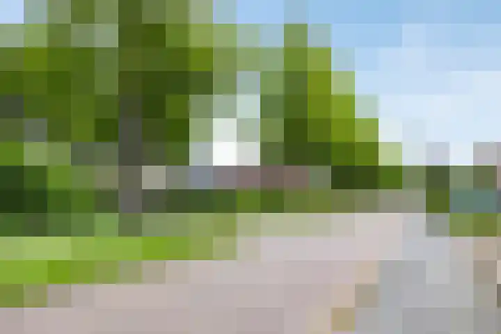 De Brogge 34 Wolvega thumbnail 39