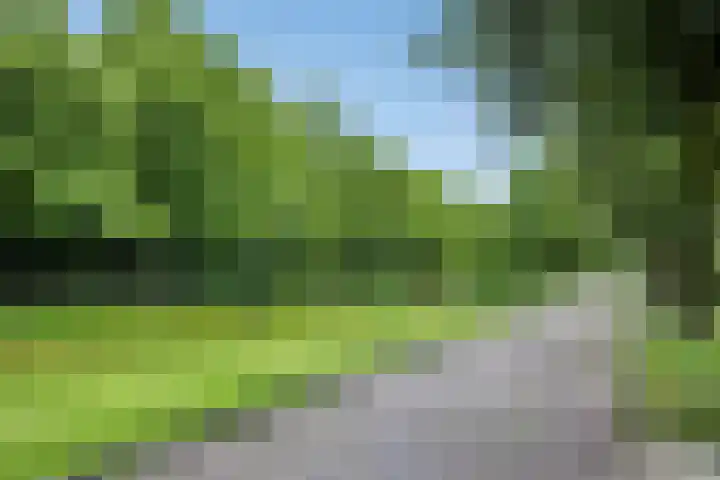 De Brogge 34 Wolvega thumbnail 40