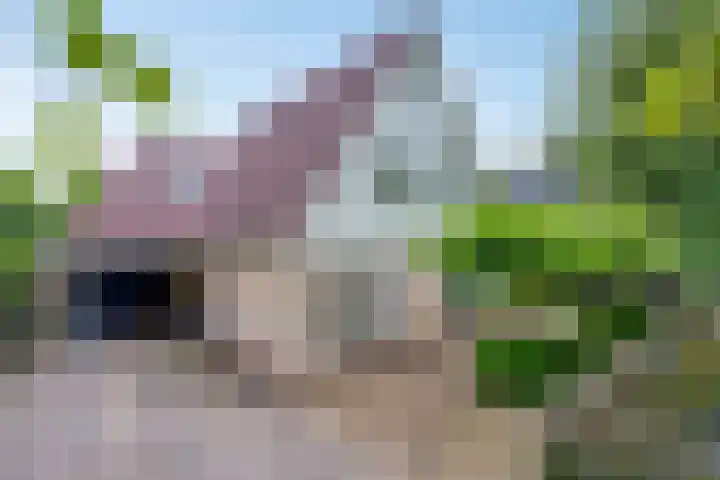 De Brogge 34 Wolvega thumbnail 42