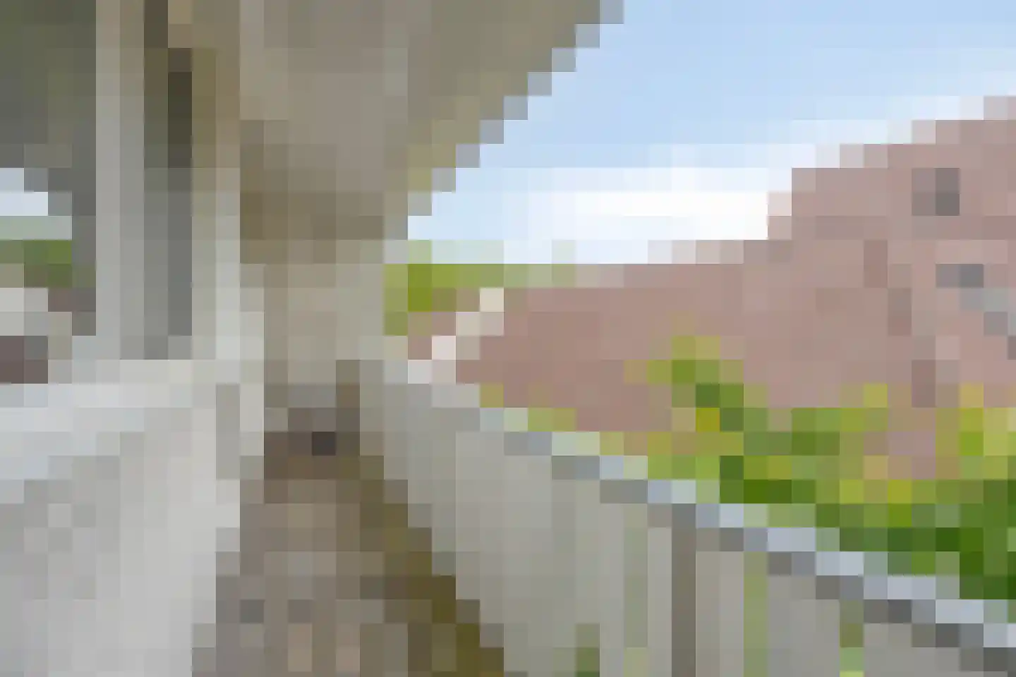 De Brogge 36 Wolvega thumbnail 29