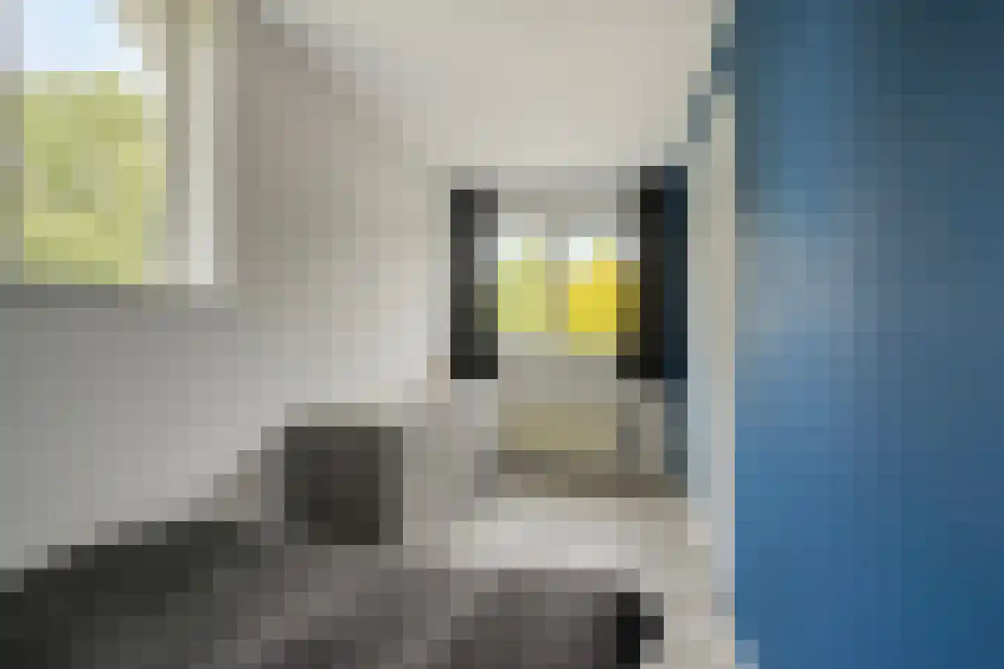 De Brogge 36 Wolvega thumbnail 37