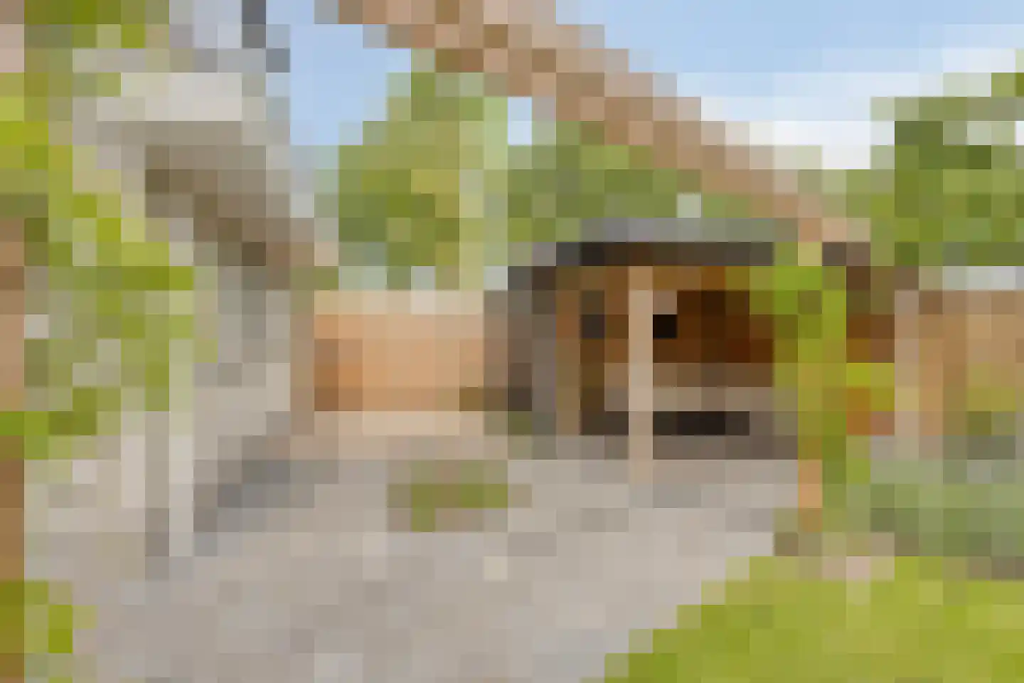 De Brogge 36 Wolvega thumbnail 42