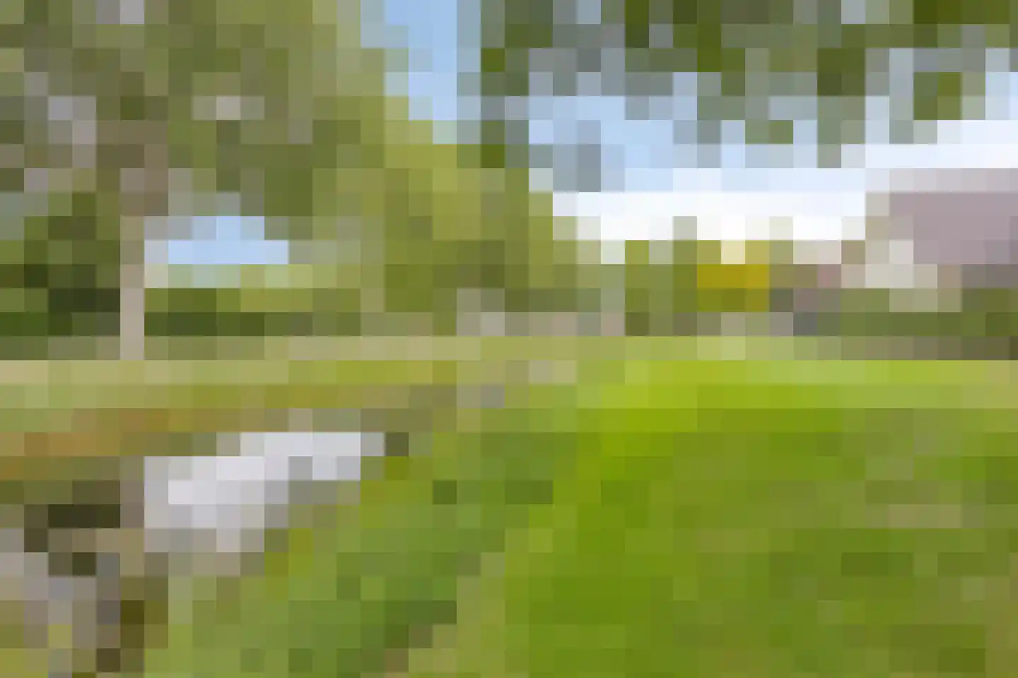 De Brogge 36 Wolvega thumbnail 46