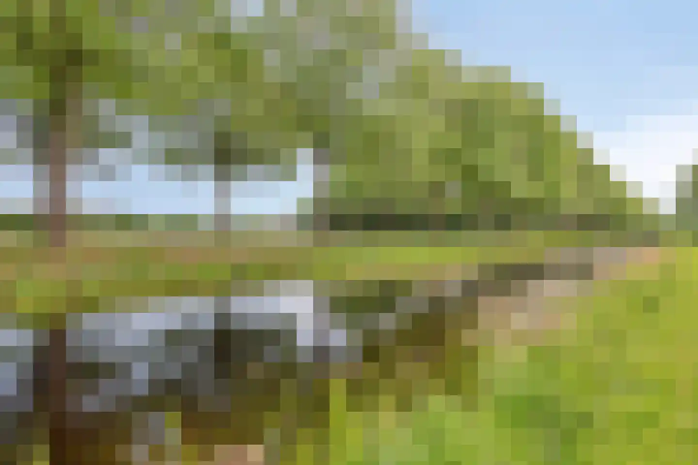 De Brogge 36 Wolvega thumbnail 47