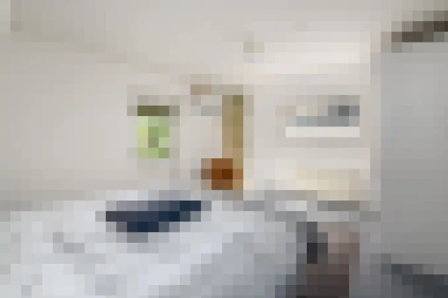 De Brogge 44 Wolvega thumbnail 24