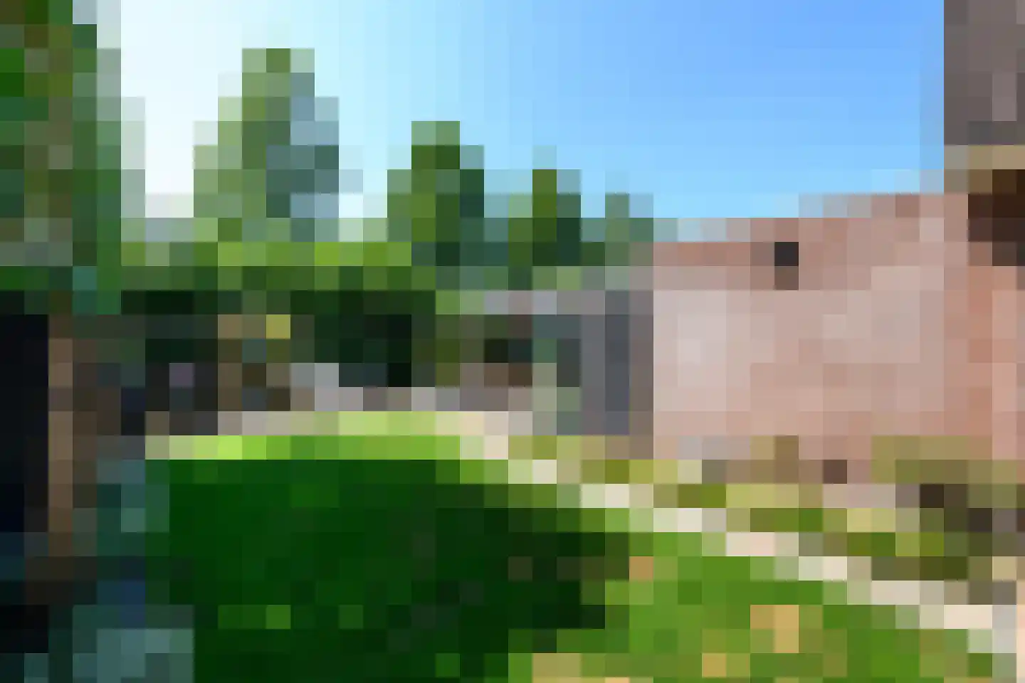De Brogge 44 Wolvega thumbnail 38