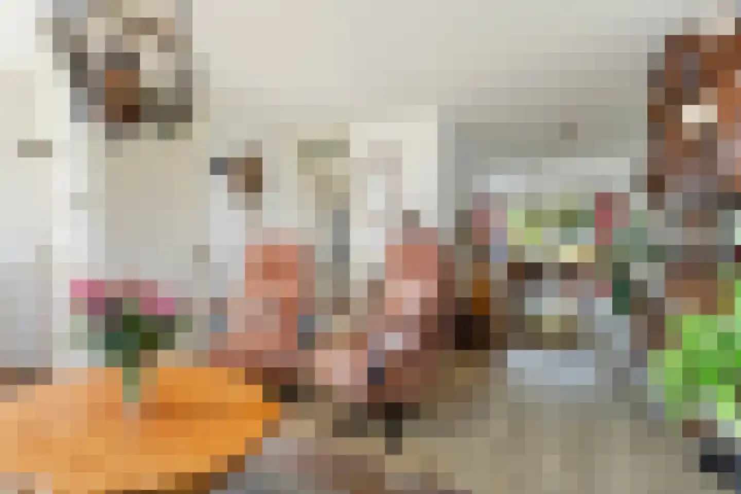 De Broll 35 Ferwert thumbnail 10